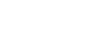 invictus yacht logo